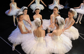Godišnji Koncert 2008